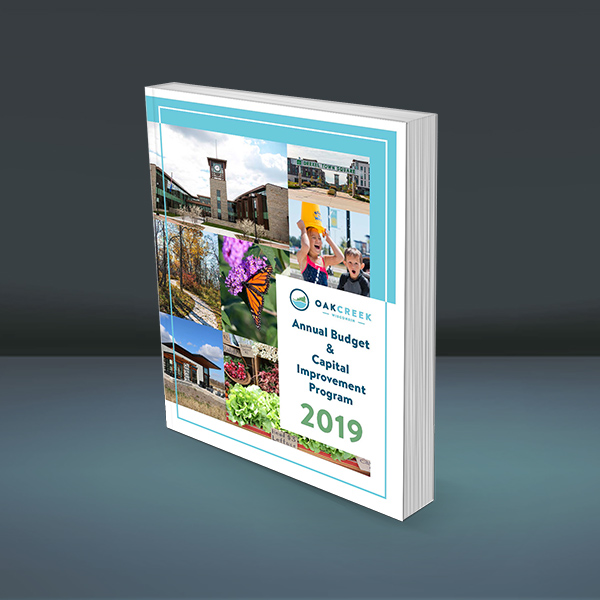 2019 City Budget book