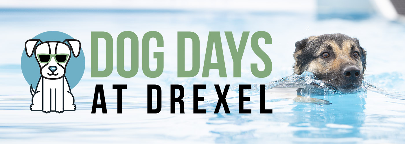 Dog Days at Drexel