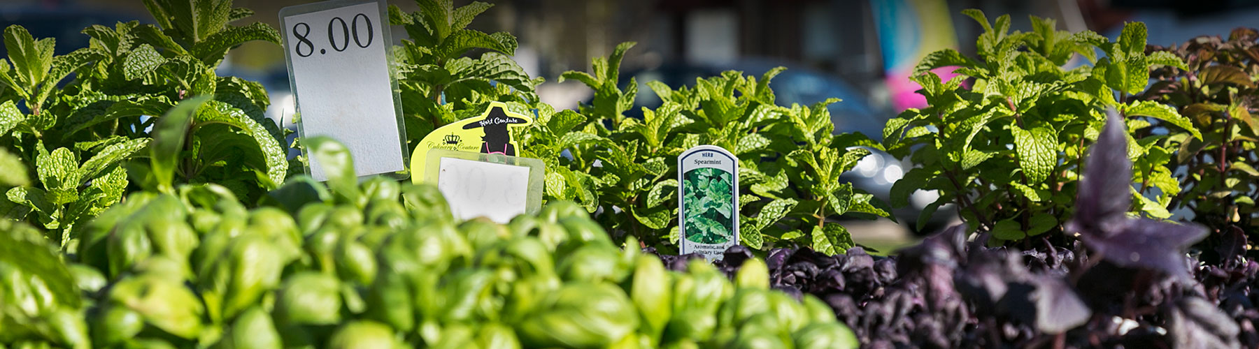 farmers-market-vendors-banner-1-1800x500