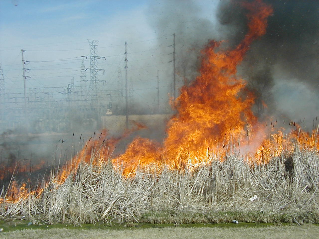 2003 Tax Day Grass Fire