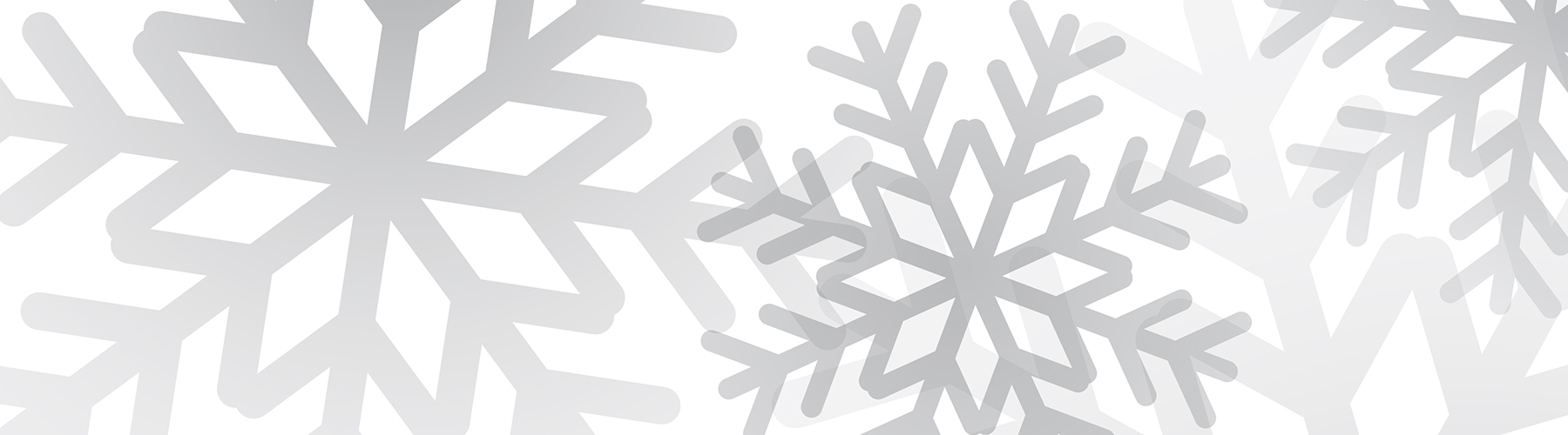 Snowflake Banner