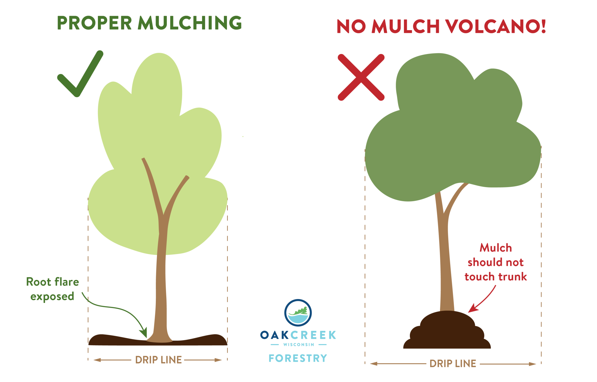 A tree shown with the proper bowl-shaped mulch bed and another tree with an improper volcano-shaped mulch bed.