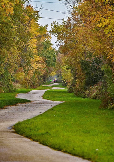 photograph of walking trail through a wooded area